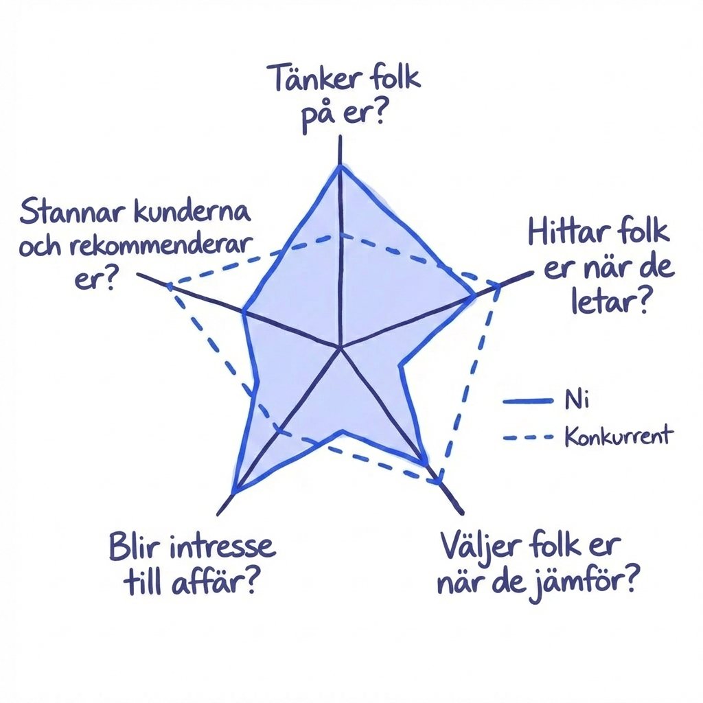 Exempel på ett spindeldiagram för marknadsdiagnos