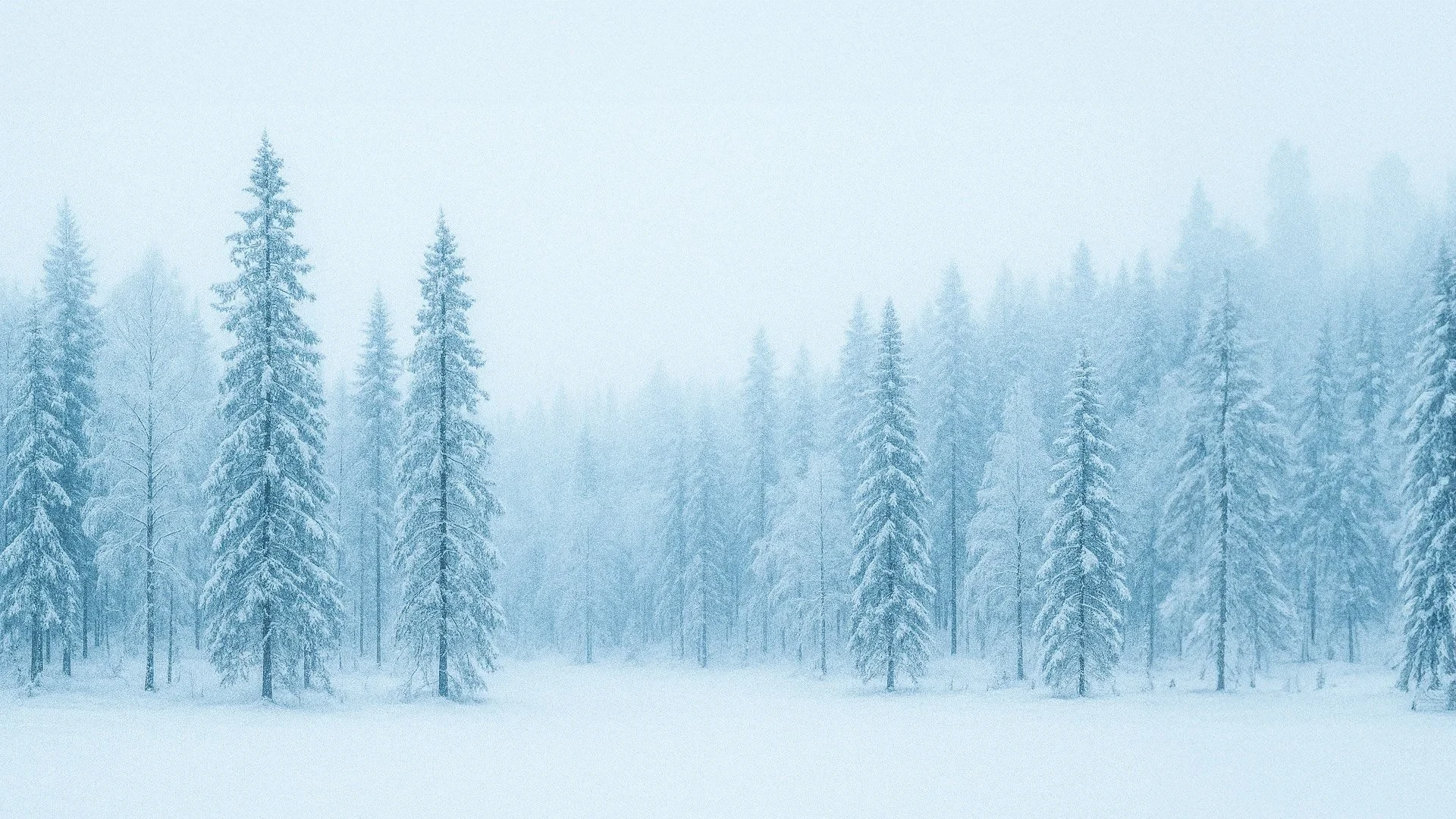 Snöigt vinterlandskap