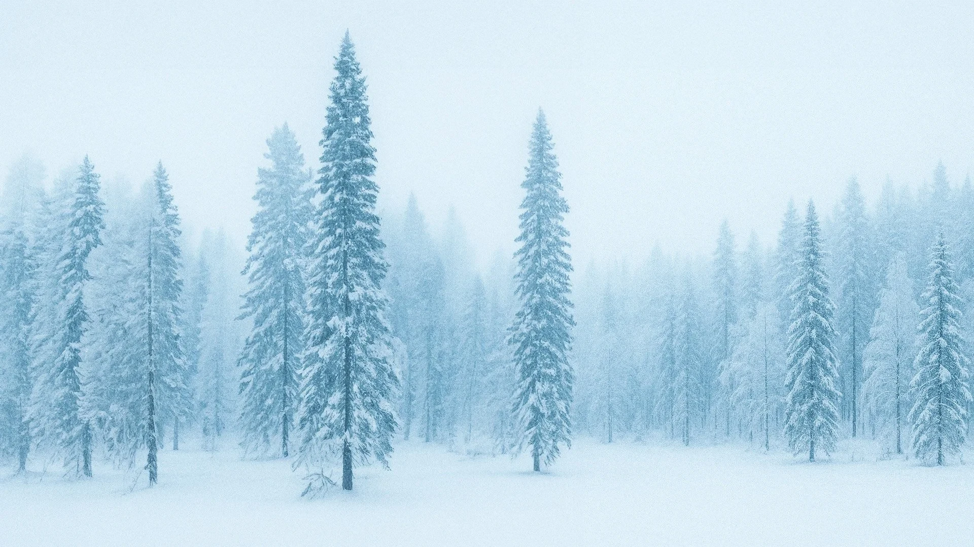 Snöigt vinterlandskap