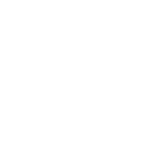 Google Allstars